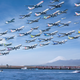 Tokio, Japón. Foto: Mike Kelley.